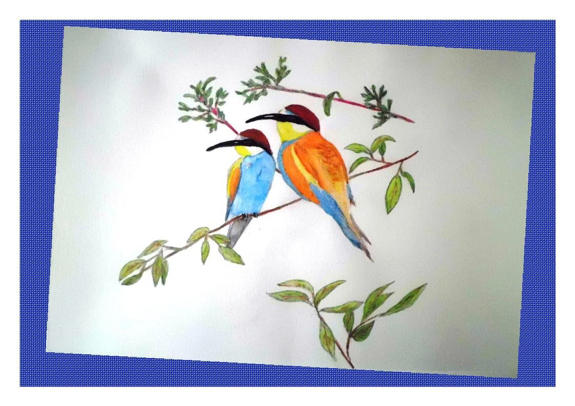 Disegno di uccellini su un ramo